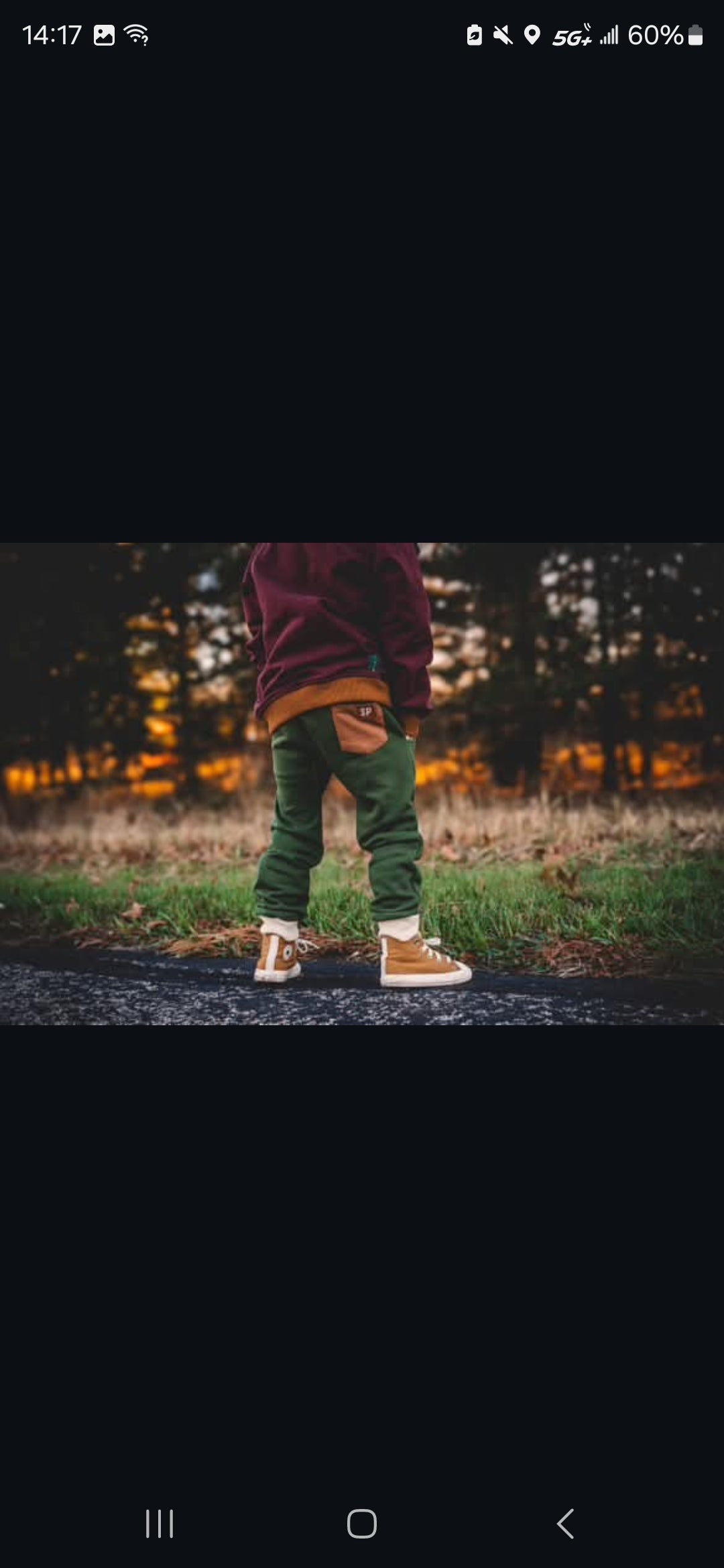 Spruce Trail Joggers