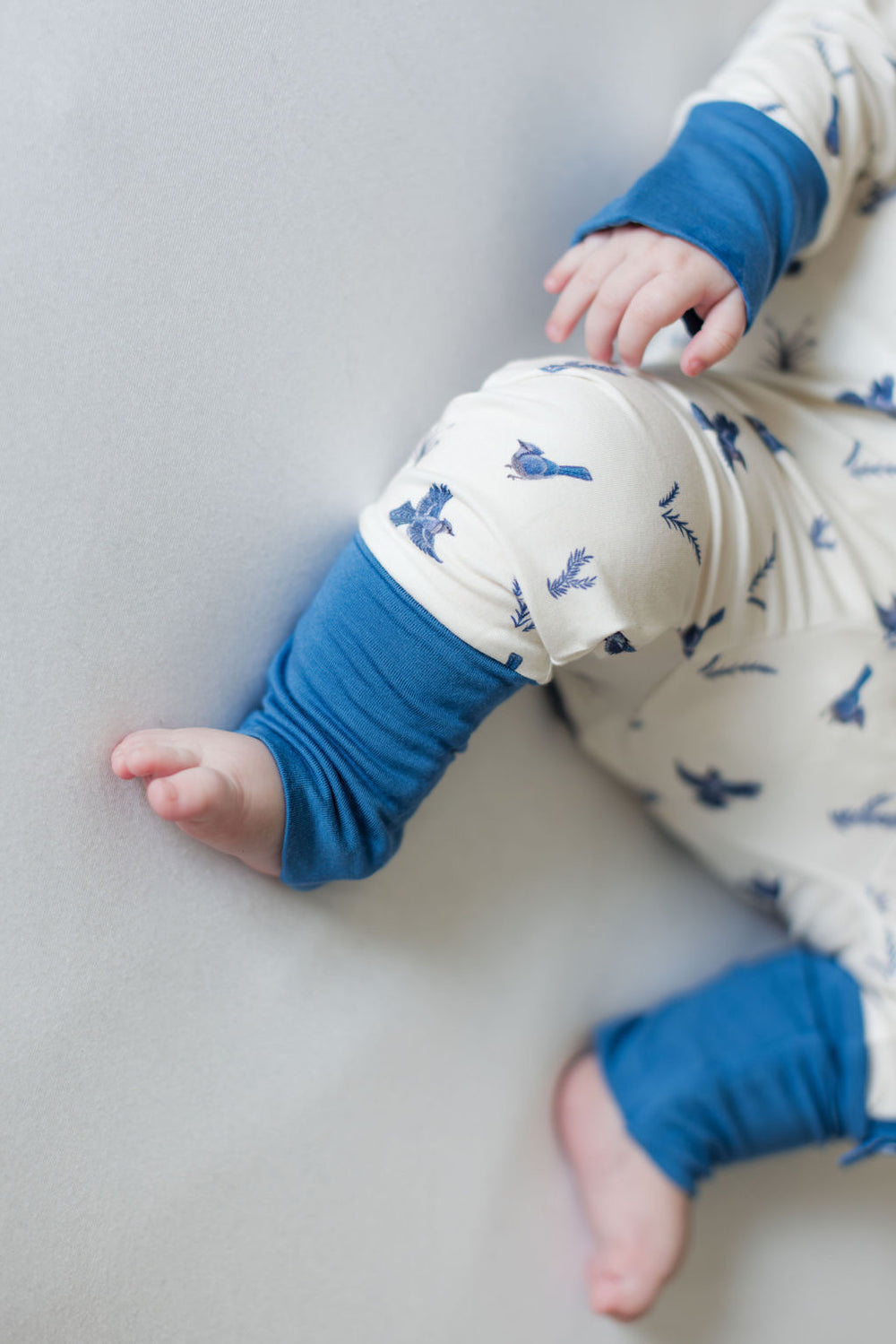 Bluejay Zipper Romper