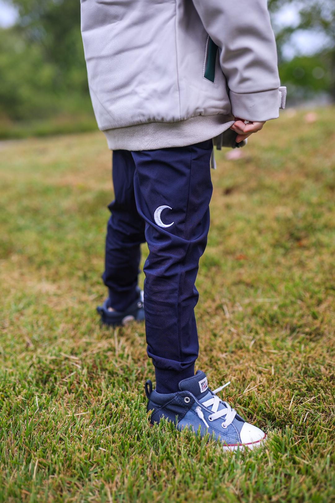 Moon cargos